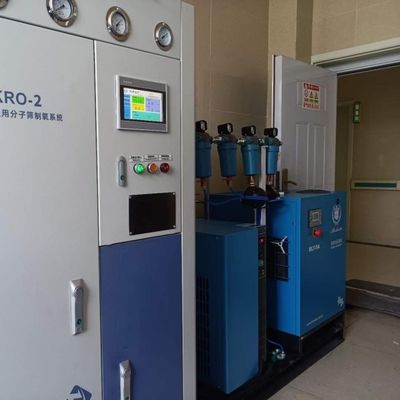 380V in acciaio inossidabile 40 GP contenitore piccolo impianto di ossigeno PSA basato in loco