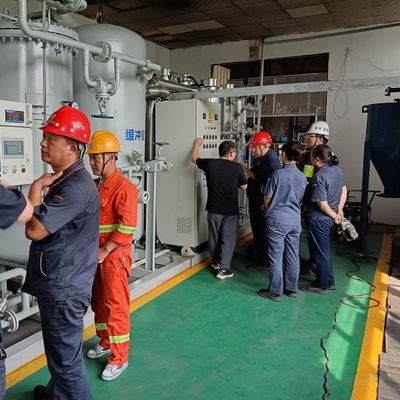 Purificatore per la generazione di gas di azoto con idrogeno eliminato ad alta purezza con ASME